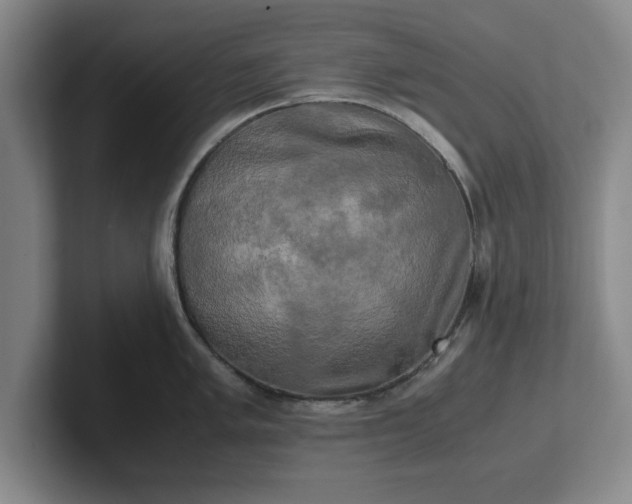 X0000102521005200808151529