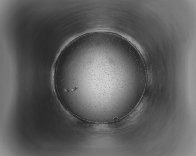 X0000102521006200808151529