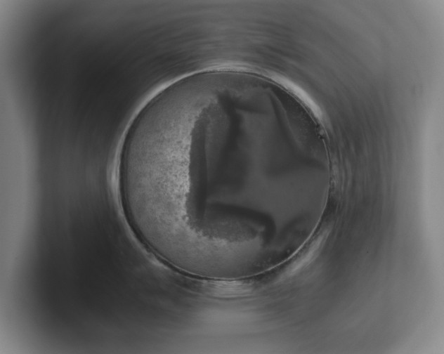 X0000102521007200808151529