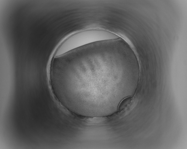 X0000102521008200808151529