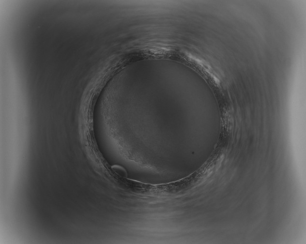 X0000102521009200808151528