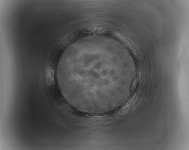 X0000102521010200808151528