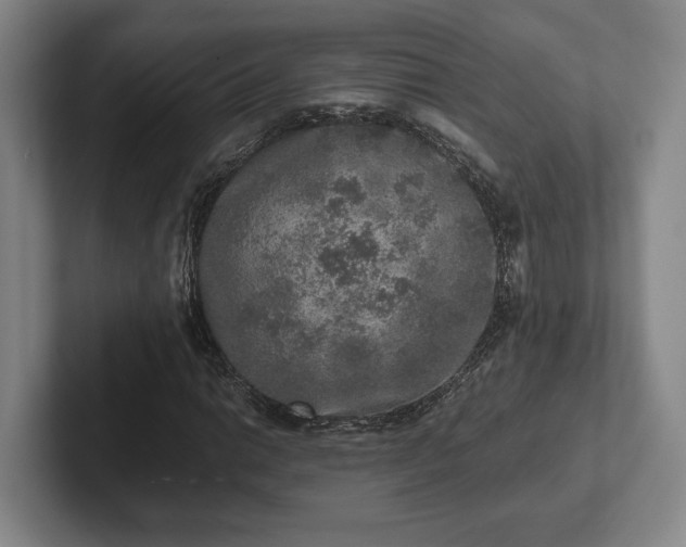 X0000102521014200808151528