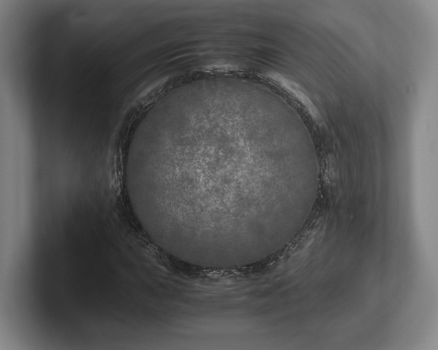 X0000102521015200808151528