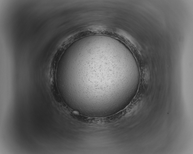 X0000102521016200808151528