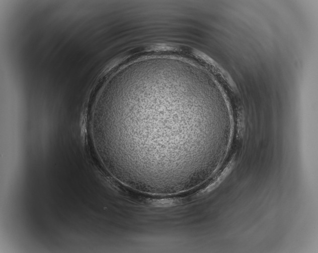 X0000102521017200808151528