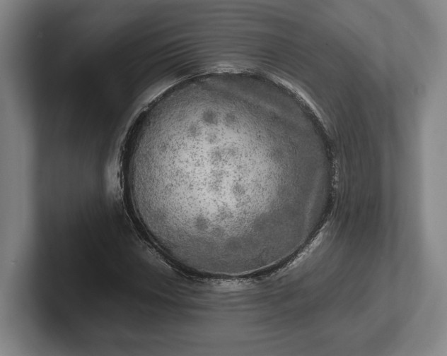 X0000102521018200808151528