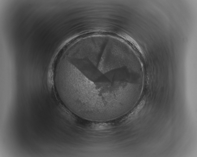 X0000102521019200808151528