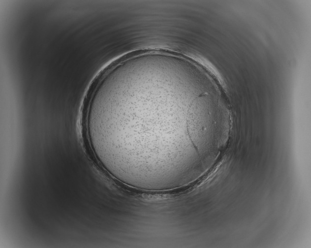 X0000102521020200808151528