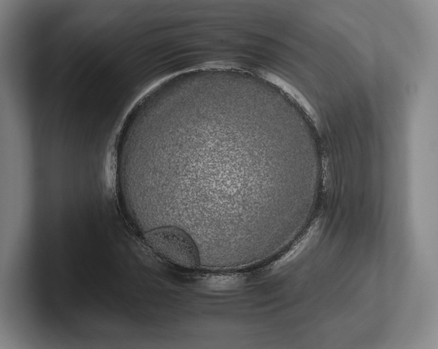 X0000102521021200808151528