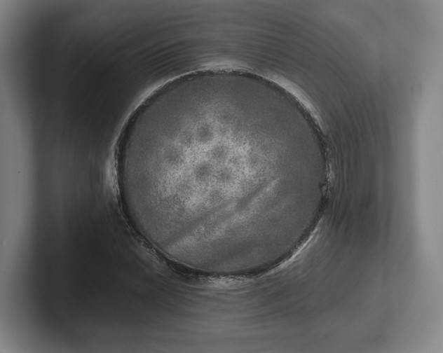 X0000102521022200808151528