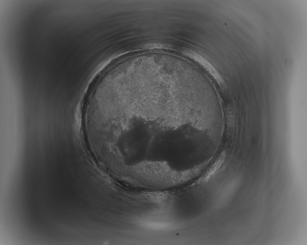 X0000102521023200808151528