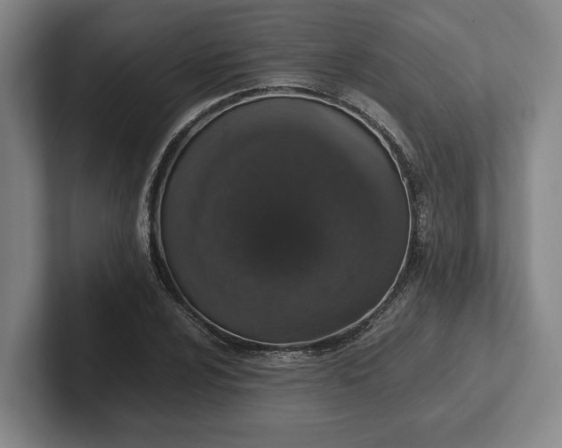 X0000102521024200808151528