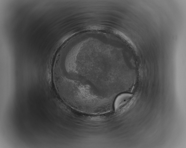 X0000102521025200808151528