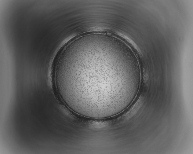 X0000102521026200808151528