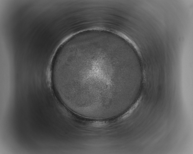 X0000102521029200808151528