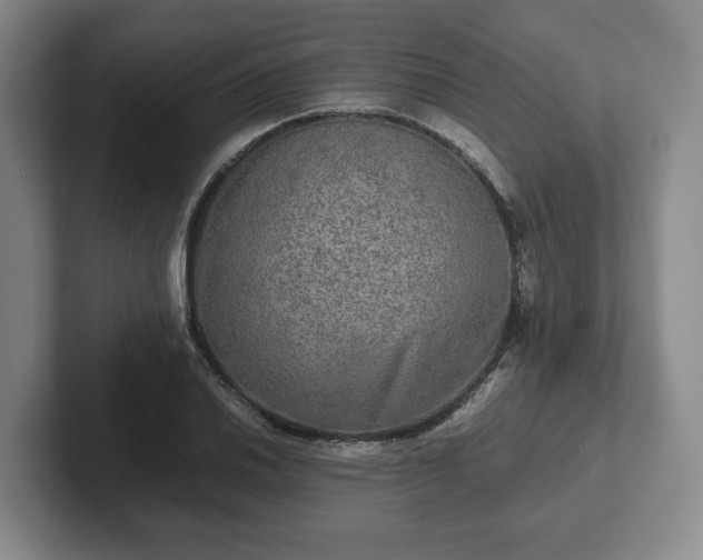 X0000102521030200808151528