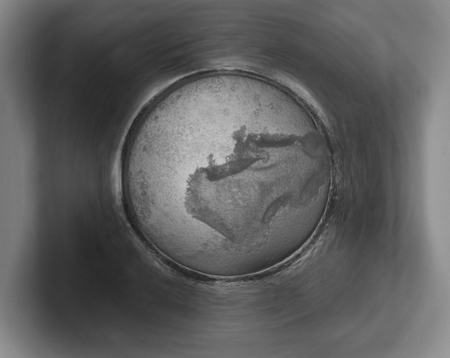 X0000102521032200808151528