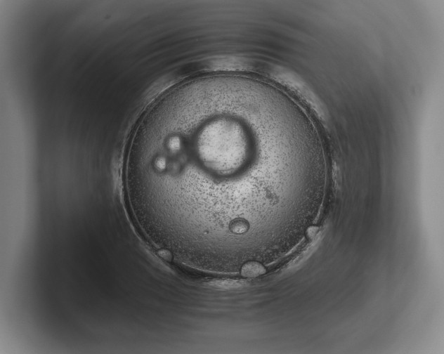 X0000102521033200808151528