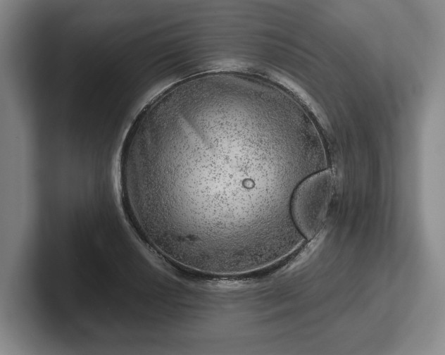 X0000102521034200808151528