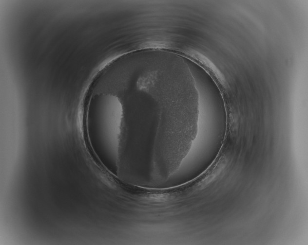 X0000102521035200808151528