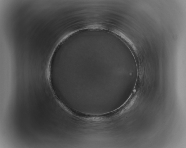 X0000102521037200808151528