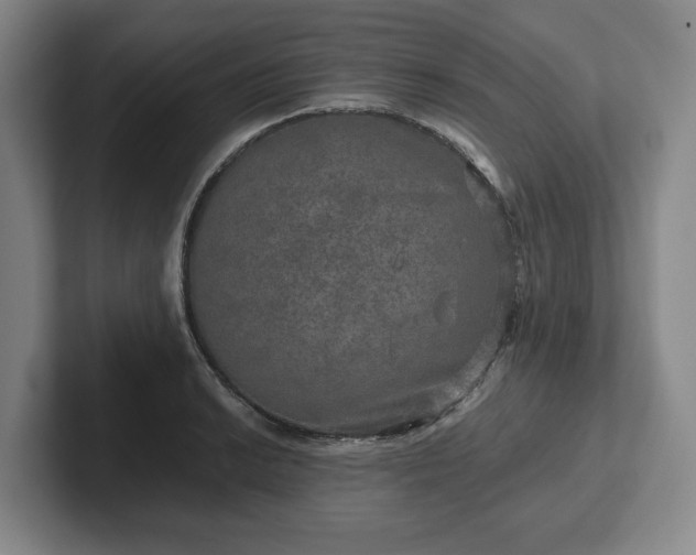 X0000102521038200808151528