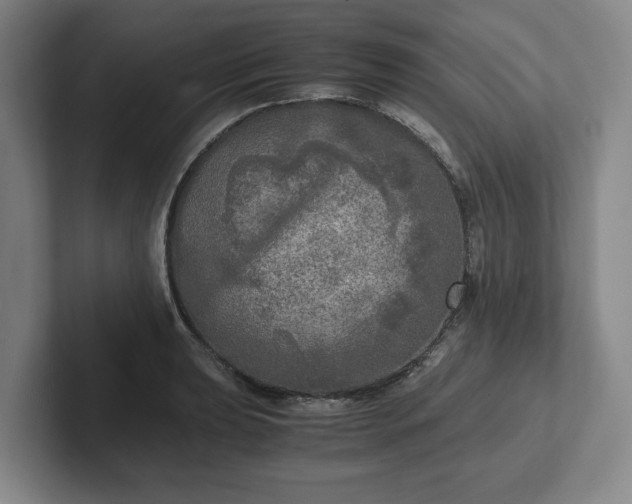 X0000102521039200808151528