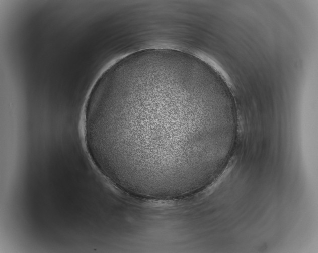 X0000102521040200808151528