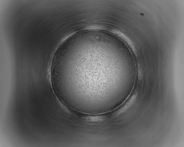 X0000102521041200808151528