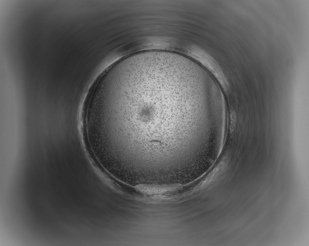 X0000102521042200808151528