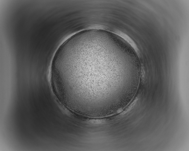 X0000102521044200808151528