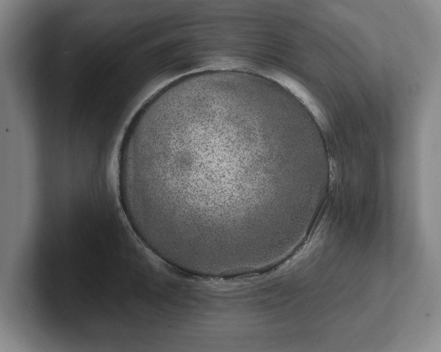 X0000102521046200808151529