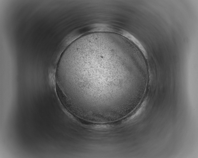 X0000102521049200808151529