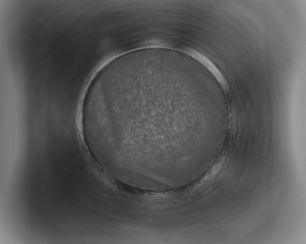 X0000102521051200808151529