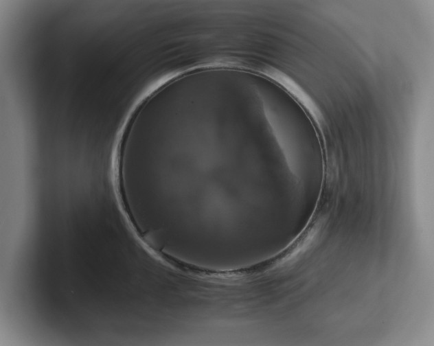 X0000102521053200808151529