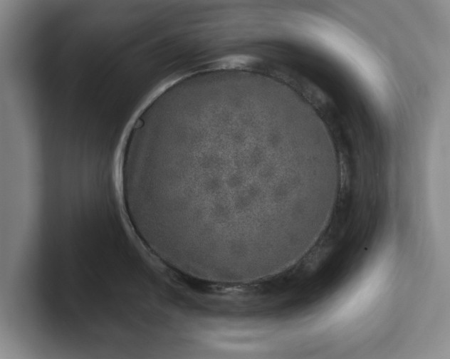 X0000102521054200808151529