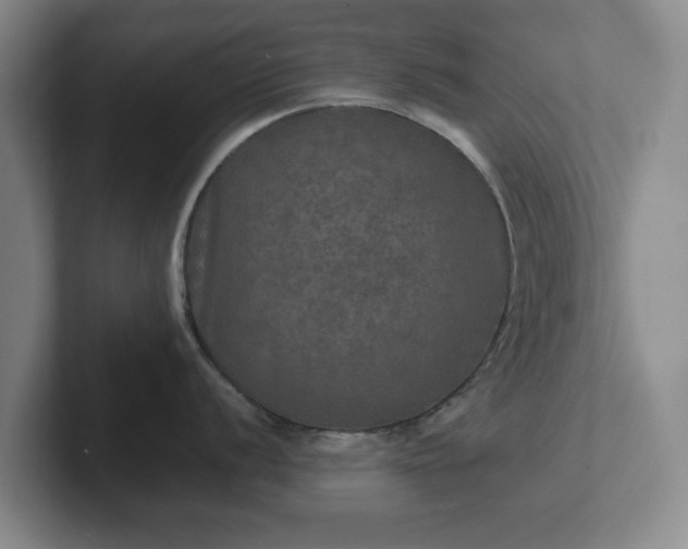 X0000102521056200808151529