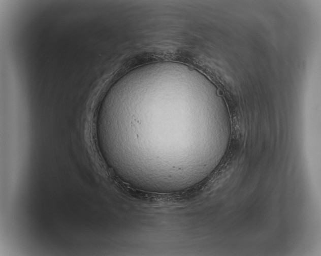 X0000102521057200808151528