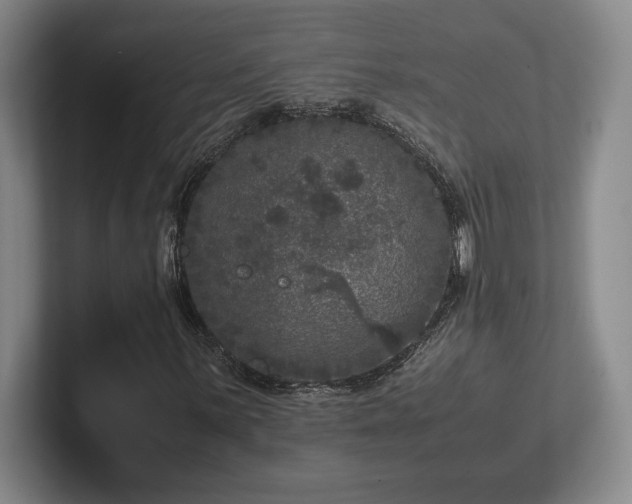 X0000102521059200808151528