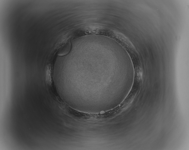 X0000102521060200808151528