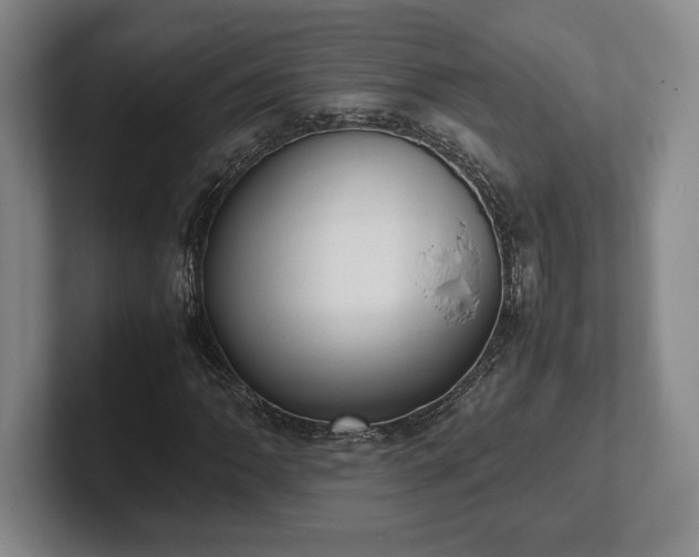 X0000102521062200808151528