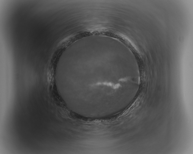 X0000102521063200808151528