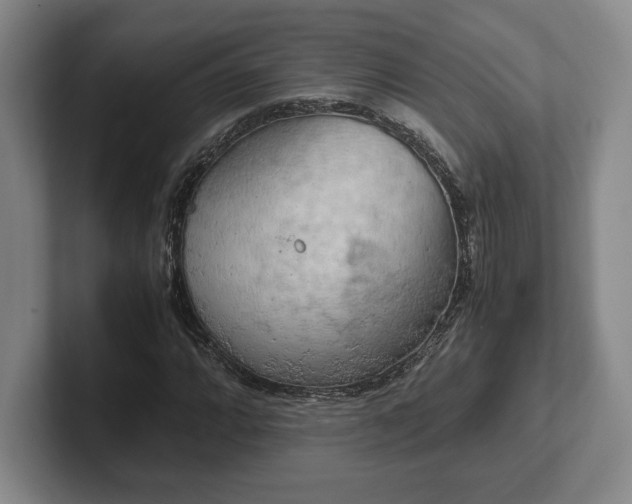 X0000102521064200808151528