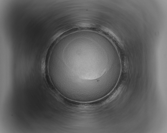 X0000102521065200808151528