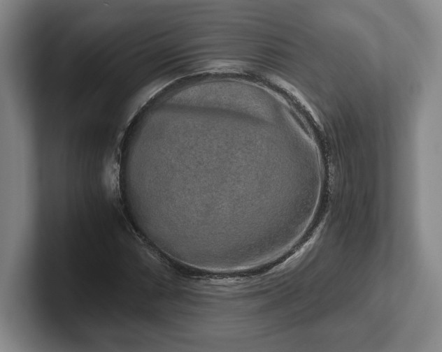 X0000102521066200808151528