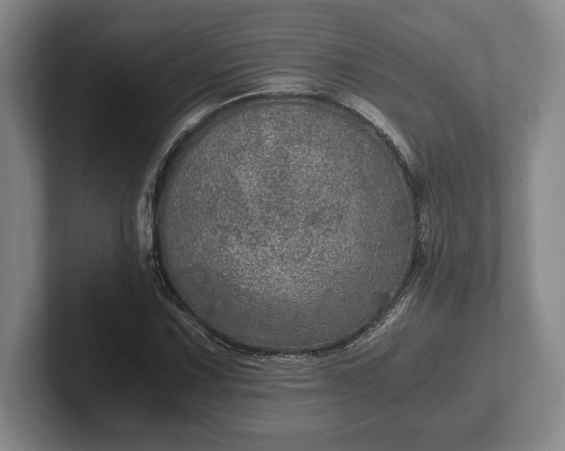 X0000102521067200808151528