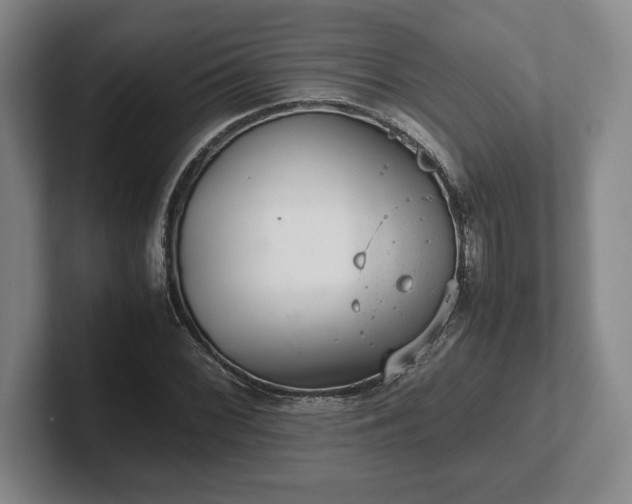 X0000102521068200808151528