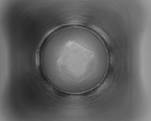 X0000102521069200808151528