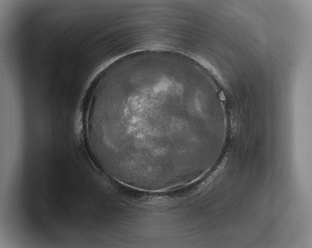 X0000102521070200808151528